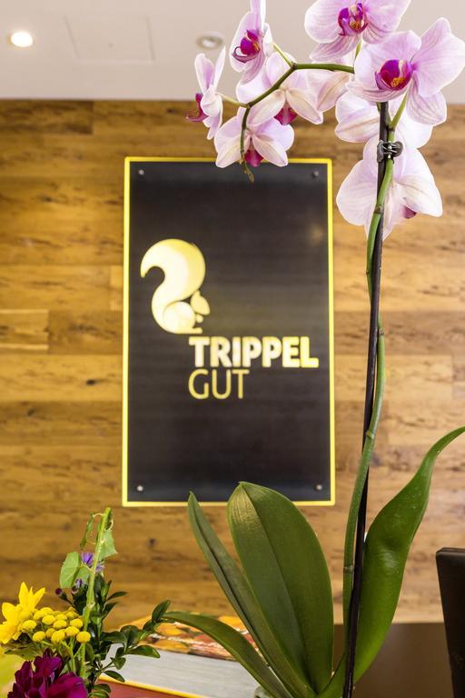 Trippelgut - Schlafgut Hotel Feldkirchen In Kaernten Bagian luar foto